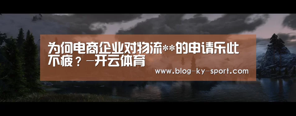 为何电商企业对物流**的申请乐此不疲?-开云体育(图2) 开云体育官网