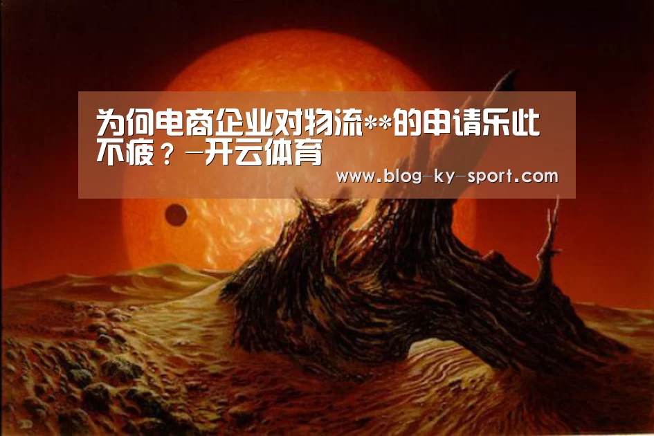 为何电商企业对物流**的申请乐此不疲?-开云体育(图4) 为何电商企业对物流**的申请乐此不疲?-开云体育(图4)